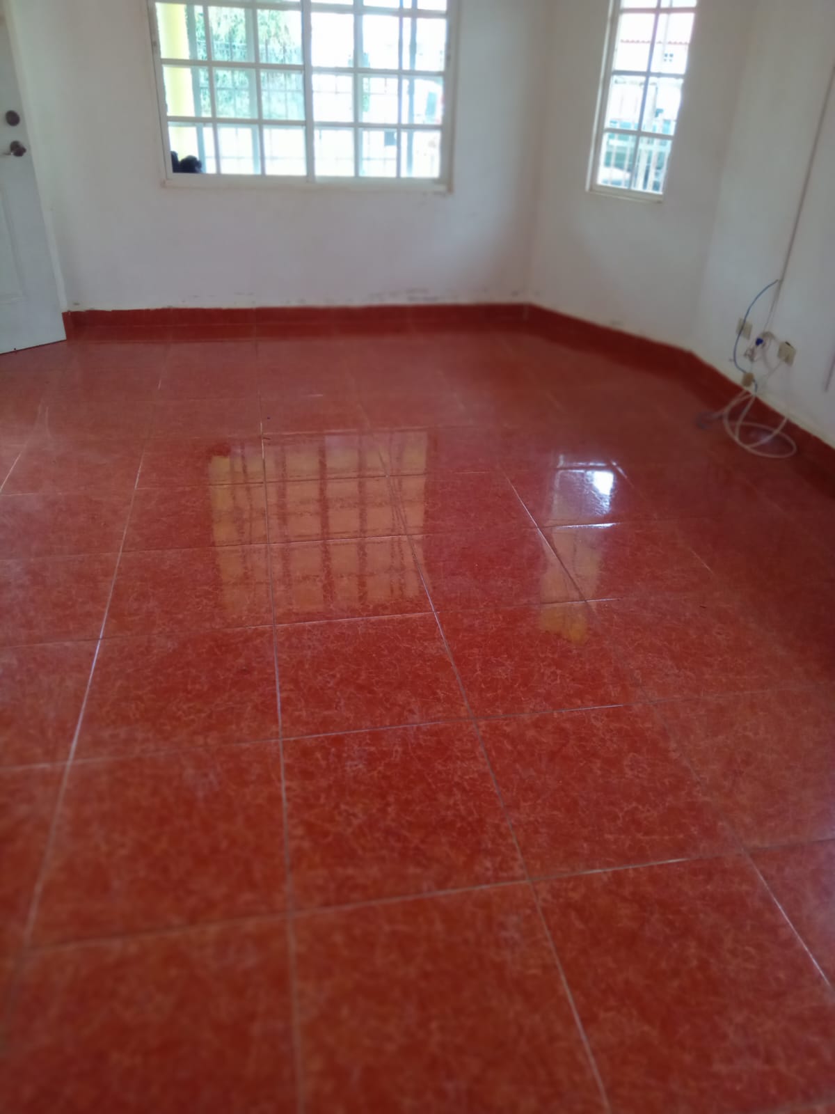 imagen 7