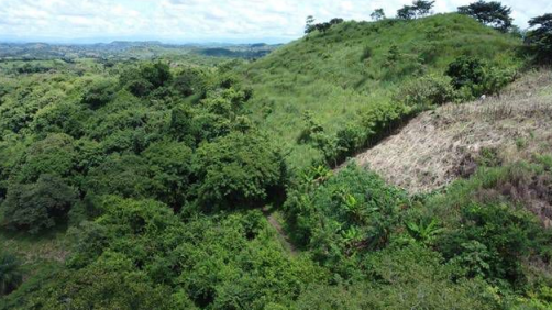 Inmueble Veraguas 