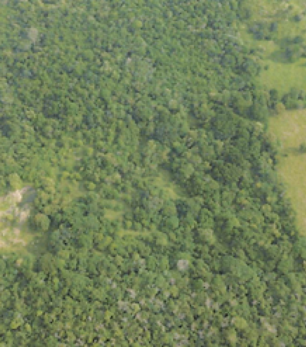 Inmueble Panamá Oeste