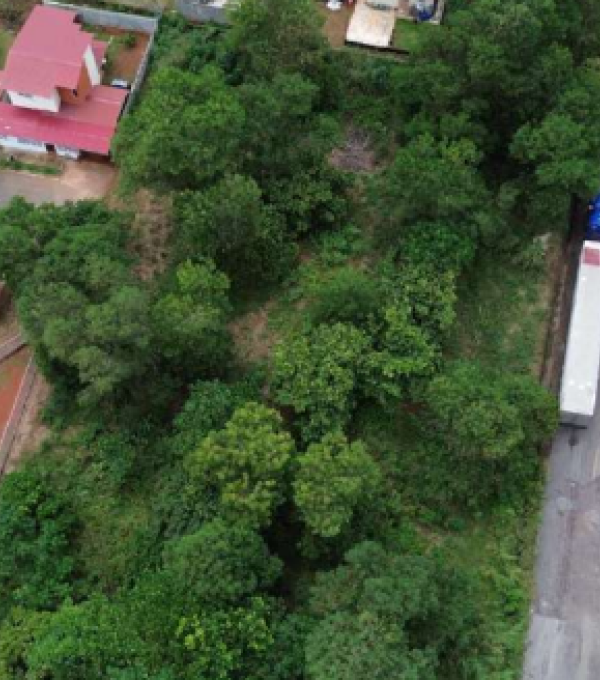 Inmueble Panamá Oeste