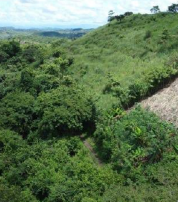 Inmueble Veraguas 